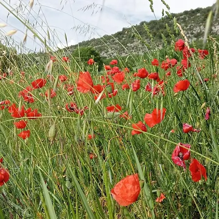 La Retapée * Quinson
