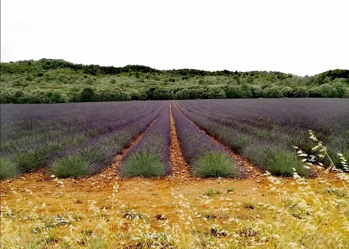 Appartement La Retapée Quinson