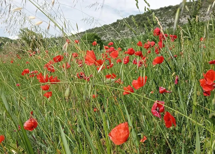 La Retapée * Quinson